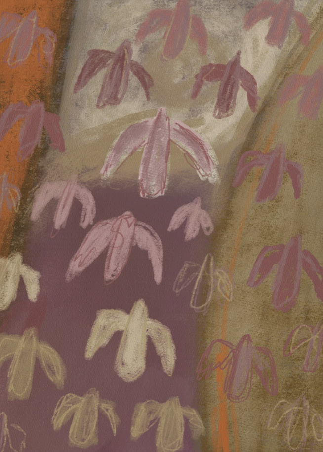 Scherm­afbeelding 2026-01-28 om 08.47.19